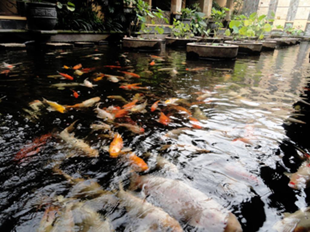 Lotus Garden Hotel Kediri  Extérieur photo